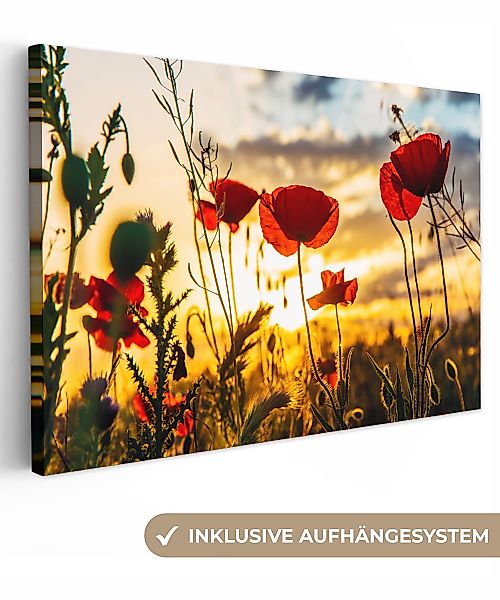 OneMillionCanvasses® Leinwandbild Rote Mohnblumen bei Sonnenaufgang, günstig online kaufen