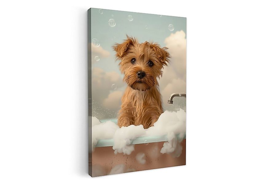 OneMillionCanvasses® Leinwandbild Hund - Bad - Tiere - Schaumstoff, Fotodru günstig online kaufen