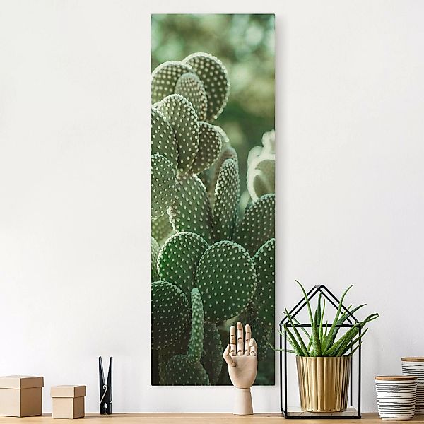 Leinwandbild auf Canvas Natural Kakteen günstig online kaufen