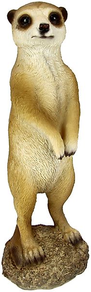 I.GE.A. Dekofigur Erdmännchen, Tierfigur günstig online kaufen
