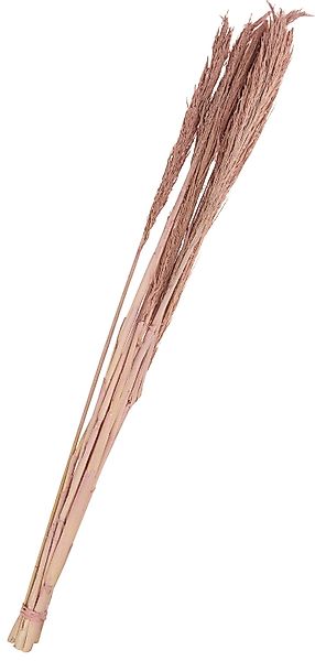 Kunstpflanze Sanmuga Grass, Othmar Decorations, 80 günstig online kaufen