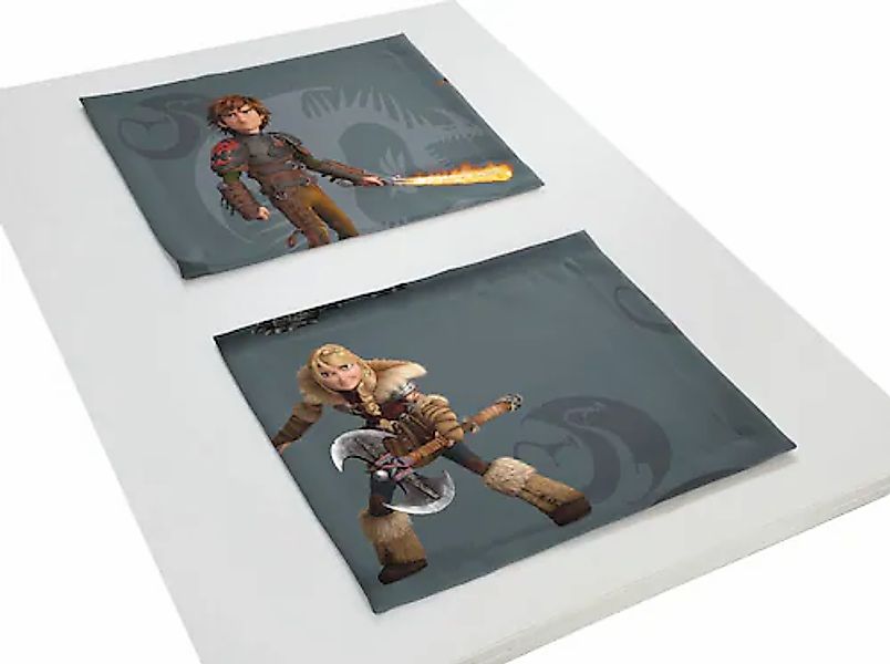 Wirth Platzset »Dragons« Universal Pictures günstig online kaufen