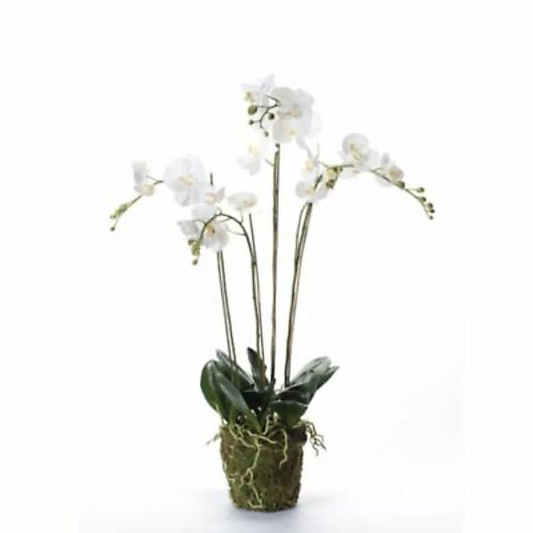 Emerald Kunstpflanze Phalaenopsis mit Moos Weiß 90 cm 20.355 Dekorationspfl günstig online kaufen