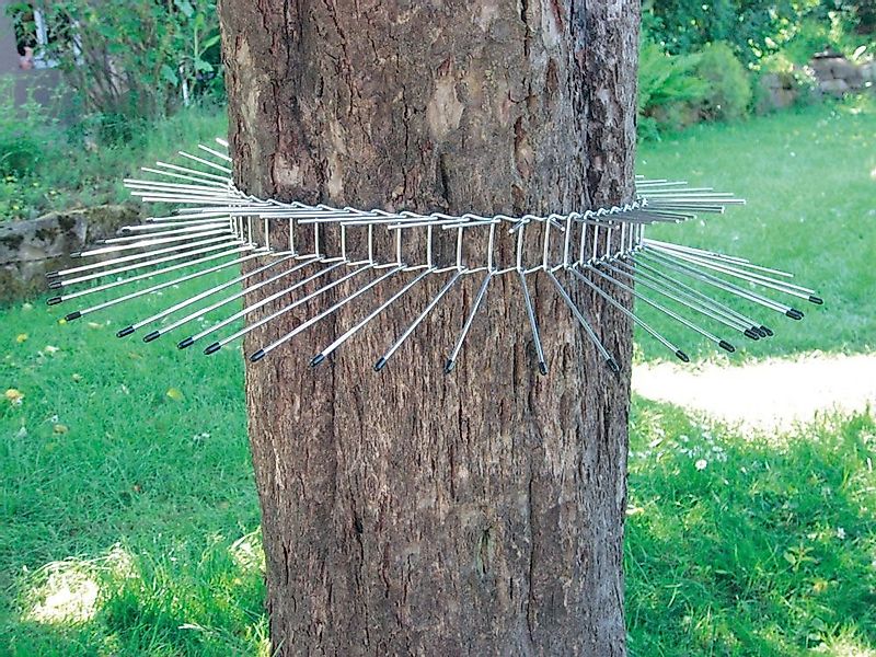 Schwegler Vogelhaus Katzenabwehrgürtel für Bäume Umfang 115 cm effektiver S günstig online kaufen