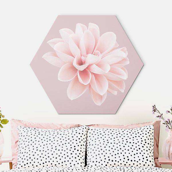 Hexagon-Alu-Dibond Bild Dahlie Blume Lavendel Rosa Weiß günstig online kaufen