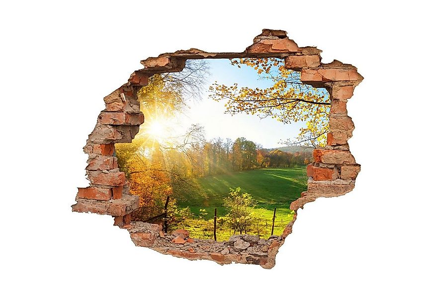 WallSpirit Wandtattoo Wanddurchbruch "Waldlichtung", Selbstklebend, rücksta günstig online kaufen