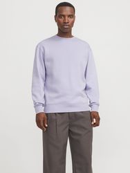 Jack & Jones Sweatshirt "JJESTAR BASIC SWEAT CREW NECK NOOS" mit Rundhalsau günstig online kaufen