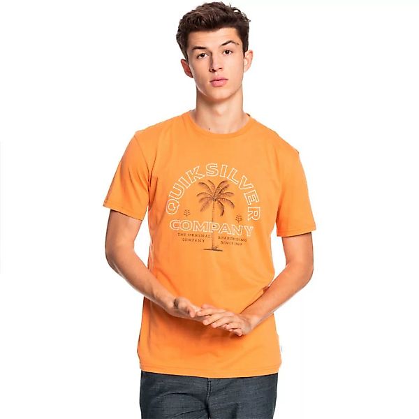 Quiksilver Shining Hour Kurzärmeliges T-shirt M Apricot Buff günstig online kaufen
