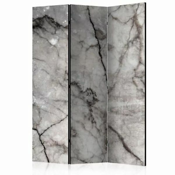 artgeist Paravent Grey Marble [Room Dividers] grau Gr. 135 x 172 günstig online kaufen