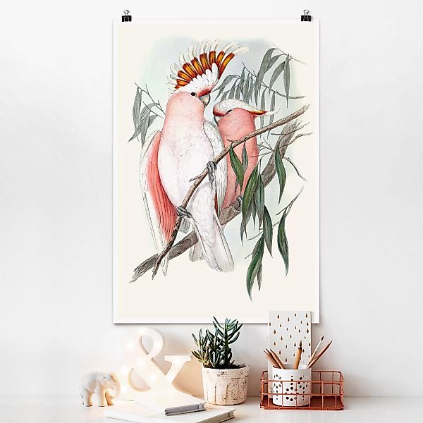 Poster Tiere - Hochformat Pastell Papageien I günstig online kaufen