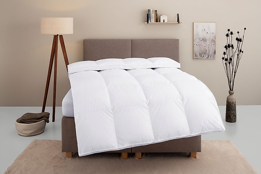 Home affaire Daunenbettdecke Marseilles Bettdecke 135x200 günstig online kaufen
