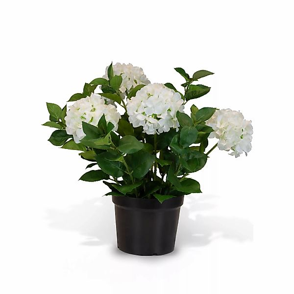 Hortensie - Hydrangea Kunstpflanze, 5 Blüten weiß günstig online kaufen