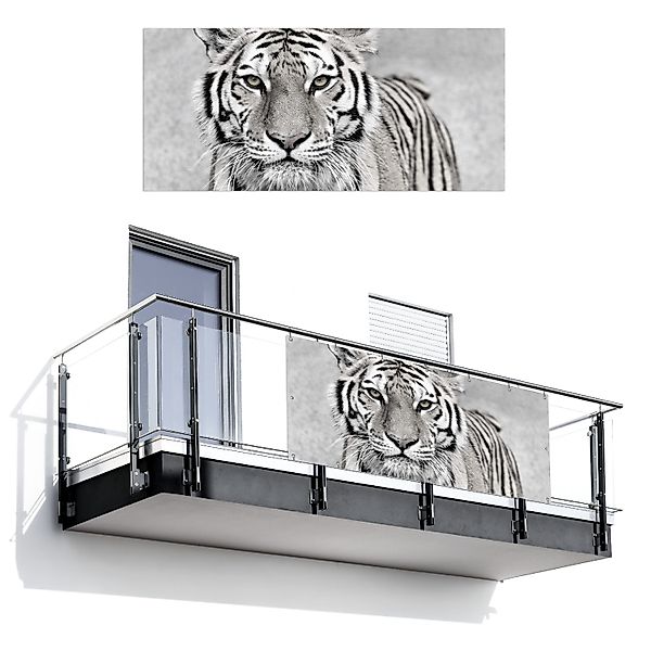 MuchoWow Balkonsichtschutz Tiger - Natur - günstig online kaufen