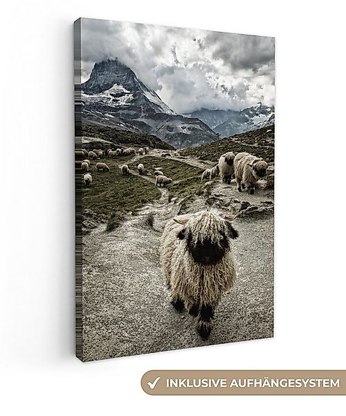 OneMillionCanvasses® Leinwandbild Schaf - Berg - Schnee, Fotodruck (1 St), günstig online kaufen