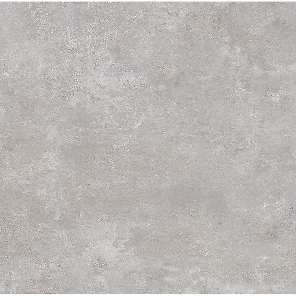Bodenfliese Feinsteinzeug Grau 60 cm x 60 cm günstig online kaufen