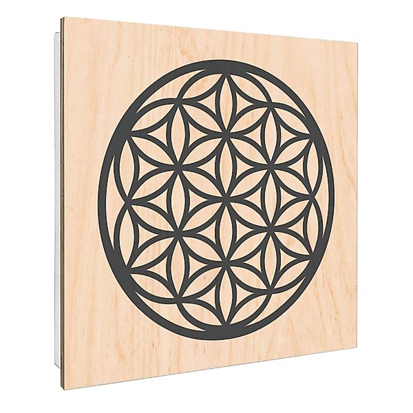 Banjado Großer Schlüsselbox Holz 30x30cm Weiß Scharnier Rechts 50 Haken Sch günstig online kaufen