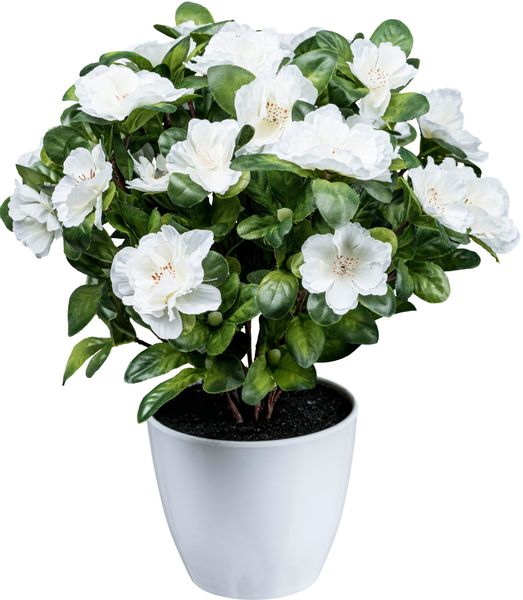 Kunstblume Azaleenbusch Azalee, Creativ green, Höhe günstig online kaufen