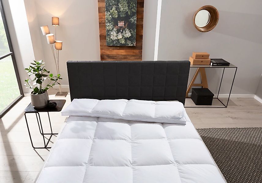 Otto Keller Daunenbettdecke "Star, Bettdecken für Sommer oder Winter, Decke günstig online kaufen