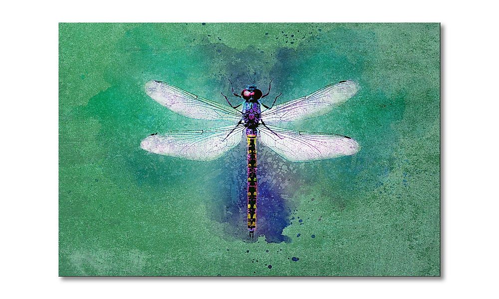 WandbilderXXL Leinwandbild Dragon Fly, Libelle (1 günstig online kaufen