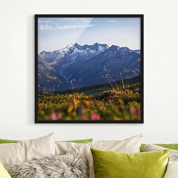 Bild mit Rahmen Blumenwiese in den Bergen günstig online kaufen