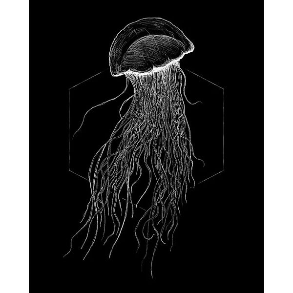 Komar Wandbild Jellyfish Black Tiere B/L: ca. 40x50 cm günstig online kaufen