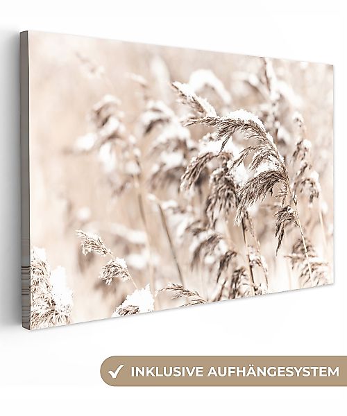 OneMillionCanvasses® Leinwandbild Winter - Pflanzen - günstig online kaufen