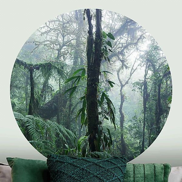 Runde Tapete selbstklebend Monteverde Nebelwald günstig online kaufen