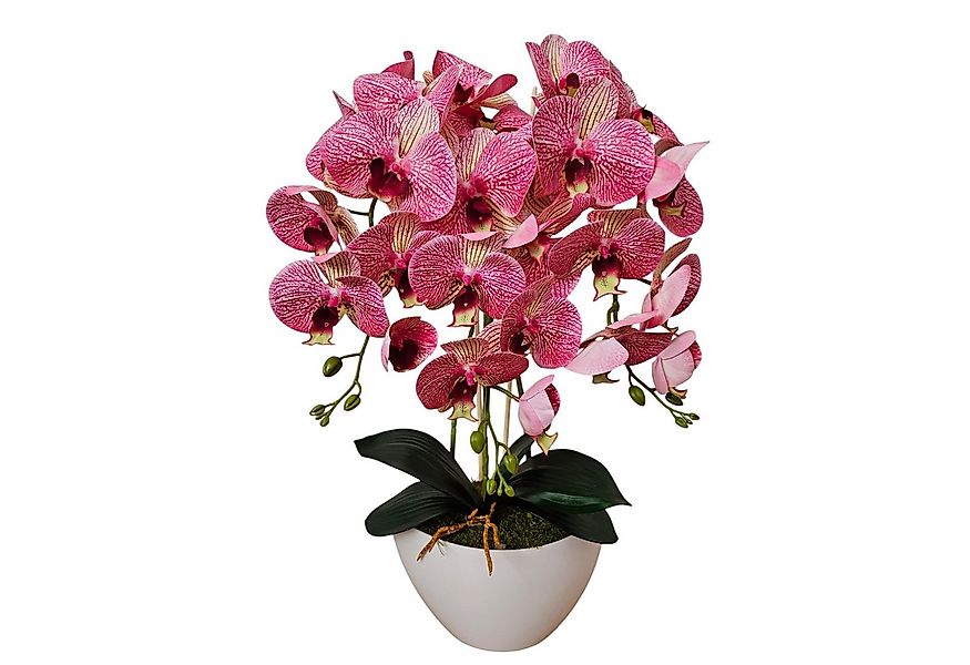 Kunstorchidee Orchidee, damich, Höhe 60 cm, Künstliche Orchidee 3-stämmige günstig online kaufen
