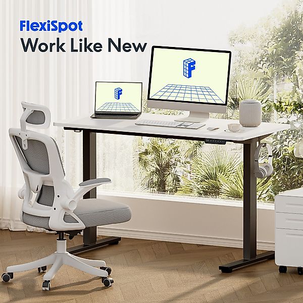 FLEXISPOT Schreibtisch Basic Plus Elektrisch höhenverstellbarer günstig online kaufen