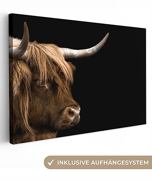 OneMillionCanvasses® Leinwandbild Schottischer Highlander - Tiere günstig online kaufen