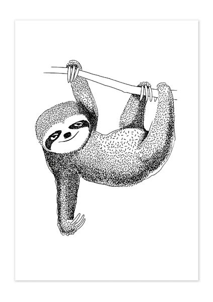 Poster Animal Sloth Matt günstig online kaufen