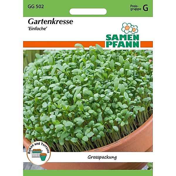 SAMEN PFANN Gartenkresse günstig online kaufen
