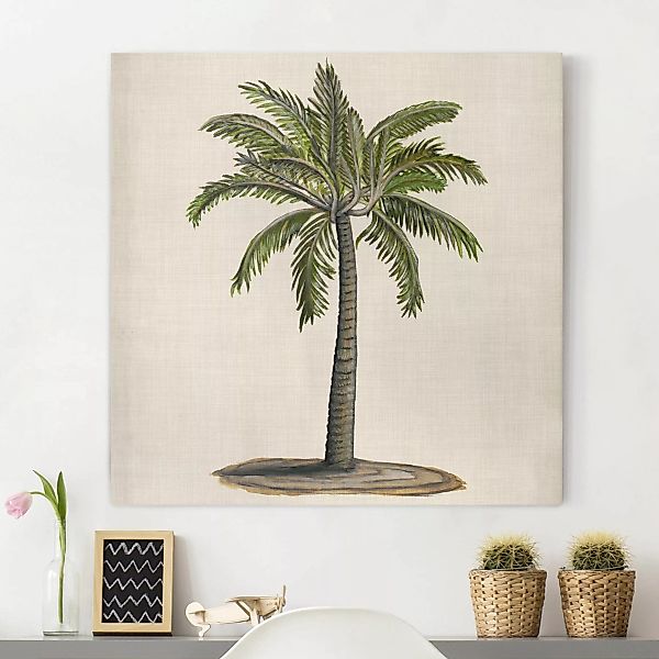 Leinwandbild Botanik - Quadrat Britische Palmen I günstig online kaufen