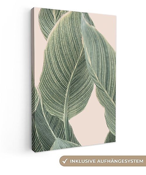 OneMillionCanvasses® Leinwandbild Pflanze - Grün - günstig online kaufen