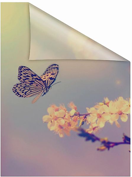 LICHTBLICK ORIGINAL Fensterfolie "Schmetterling Blüte" 1 Stk. blickdicht st günstig online kaufen