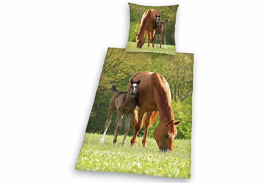 Herding Young Collection Kinderbettwäsche "Pferd mit Fohlen" 2 Stk. tlg. fü günstig online kaufen