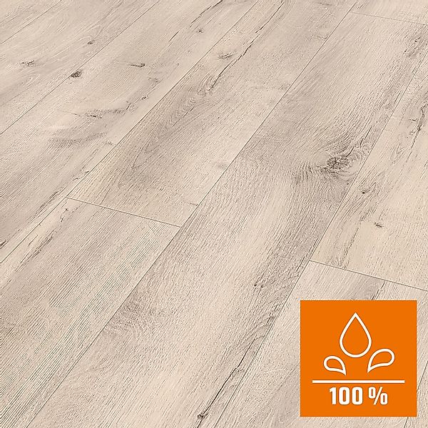 Classen Laminat 8 mm Wasserfest Oak Creme günstig online kaufen