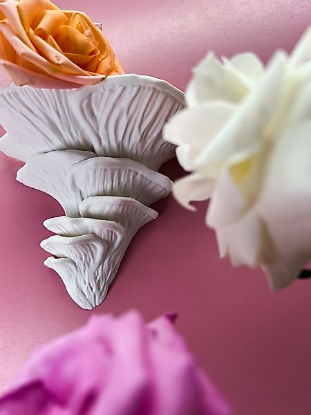Roomberry Deko-Wandregal Flamingo-Seitling Pilz Wandregal, Hergestellt günstig online kaufen