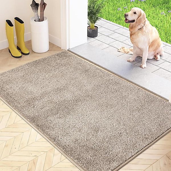 FCSDETAIL Fußmatte Schmutzfangmatte 86x150 cm rutschfest günstig online kaufen