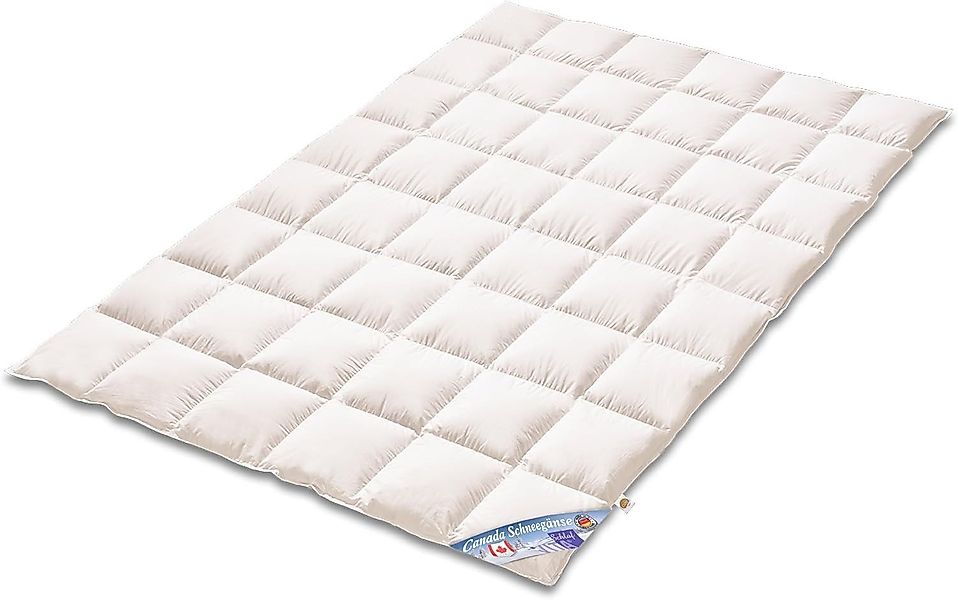 Vitaschlaf Gänsedaunenbettdecke Vitaschlaf® CANADA SCHNEEGÄNSE Bettdecken günstig online kaufen