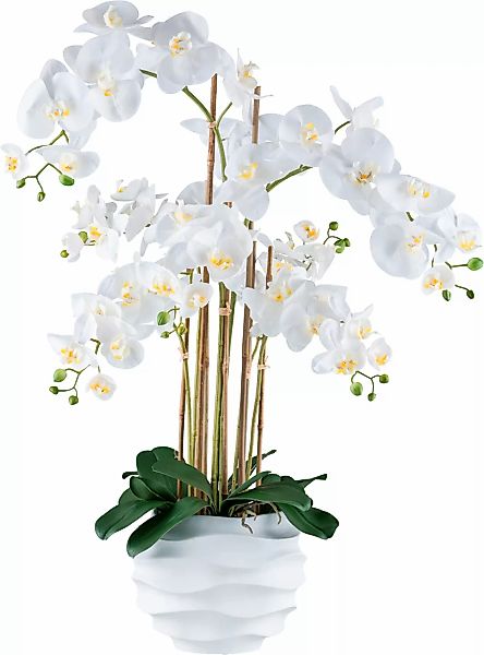 Creativ green Kunstorchidee "Orchidee Phalaenopsis", im Design-Topf günstig online kaufen