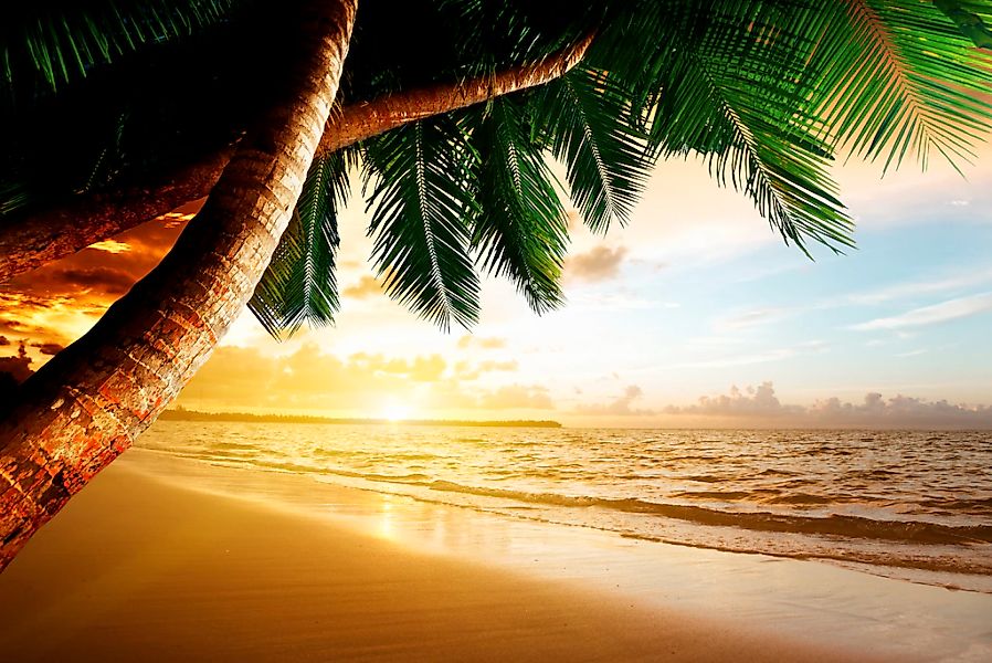 Papermoon Fototapete "Caribbean Beach Sunrise" glatt günstig online kaufen