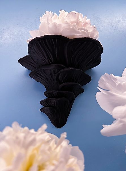 Roomberry Deko-Wandregal Flamingo-Seitling Pilz Wandregal, Hergestellt günstig online kaufen