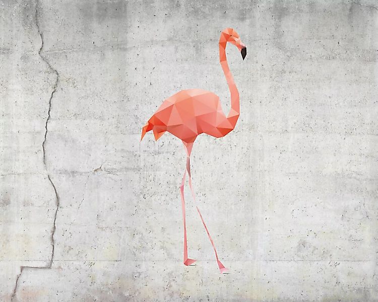 Fototapete "FlamingoConcrt" 4,00x2,70 m / Glattvlies Brillant günstig online kaufen