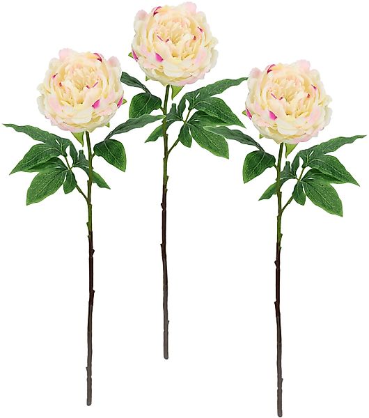 Kunstblume Päonie Bauernrose, I.GE.A., Höhe 60 günstig online kaufen