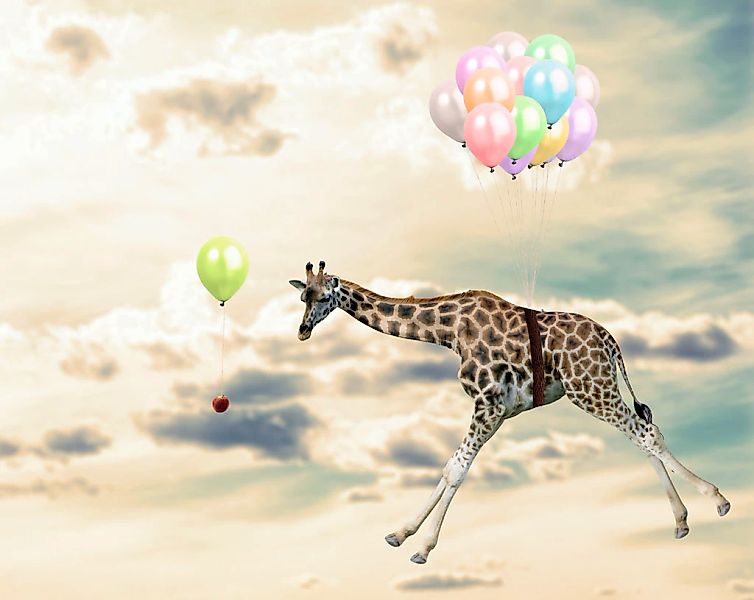 queence Acrylglasbild "fliegende Giraffe" Giraffe  Giraffen  Giraffen Bilde günstig online kaufen