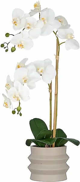 Creativ green Kunstorchidee »Orchidee Phalaenopsis«, im Design-Topf günstig online kaufen