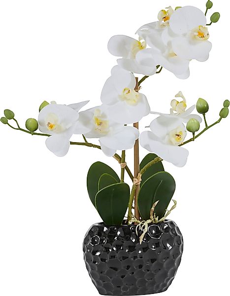 Kunstpflanze Orchidee Orchidee, Leonique, Höhe 38 günstig online kaufen