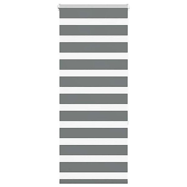 vidaXL Doppelrollo Dunkelgrau 55x150 cm Stoffbreite 50,9 cm Polyester 40141 günstig online kaufen