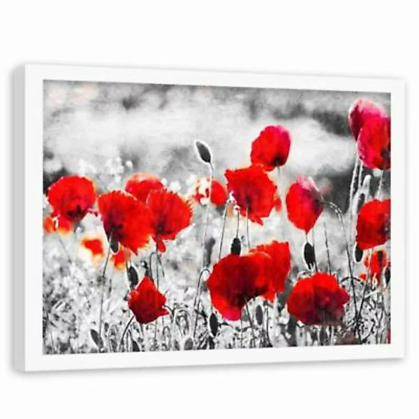 FEEBY® Kunst Mohnblumen 2 Leinwandbilder bunt Gr. 60 x 40 günstig online kaufen